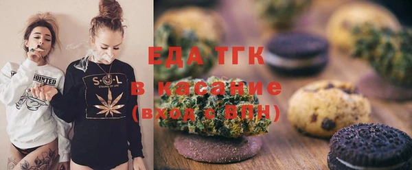 дмт Бородино
