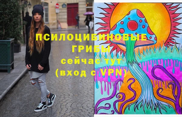 прущая мука Горняк