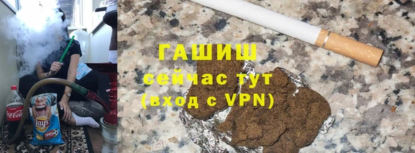 дмт Бородино