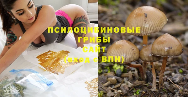 ALPHA-PVP Горно-Алтайск